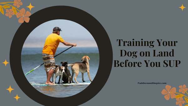 SUP with dog guide: Training Your Dog