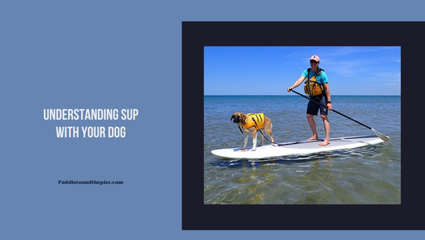 Understanding SUP With Your Dog
