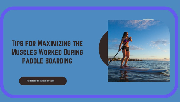 Muscles worked during paddle boarding