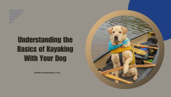 Understanding the Basics of Kayaking With Your Dog