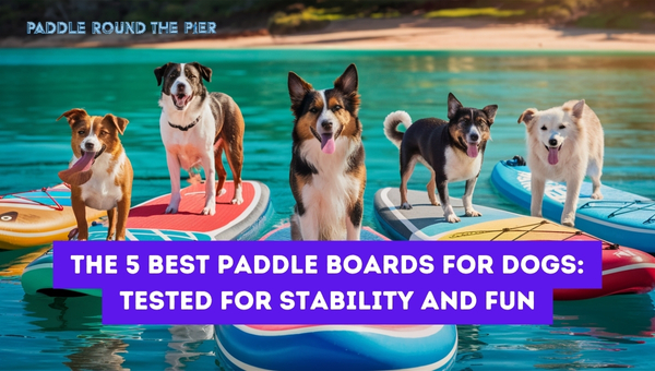 The 5 Best Paddle Boards for Dogs:Tested for Stability & Fun