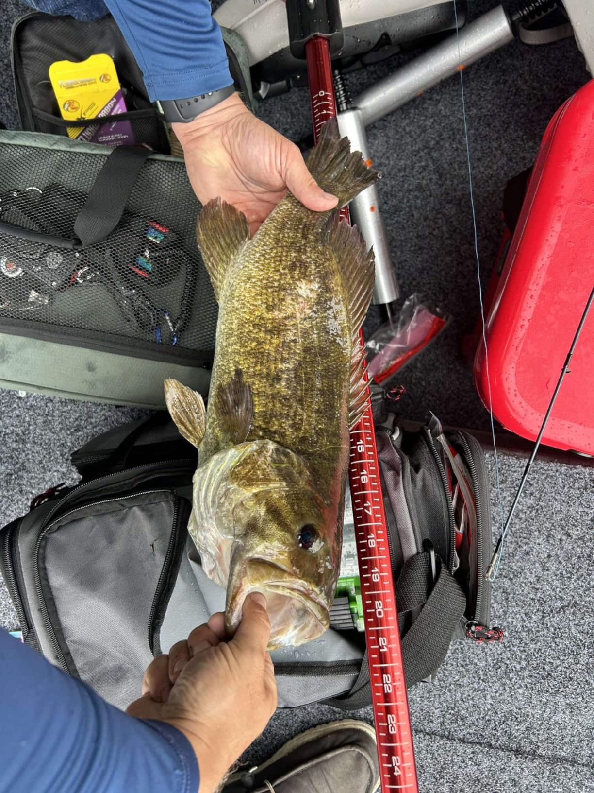 Booyah Blade Spinner-Bait Bass Fishing Lure - Customer Photo 1