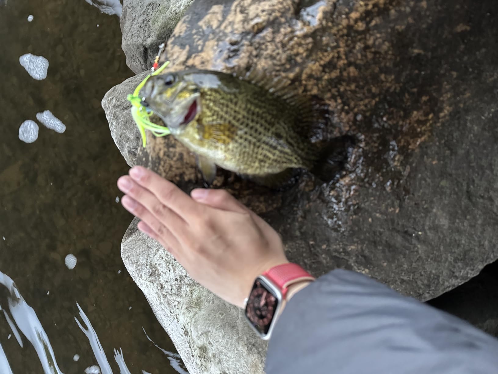 Booyah Blade Spinner-Bait Bass Fishing Lure - Customer Photo 2