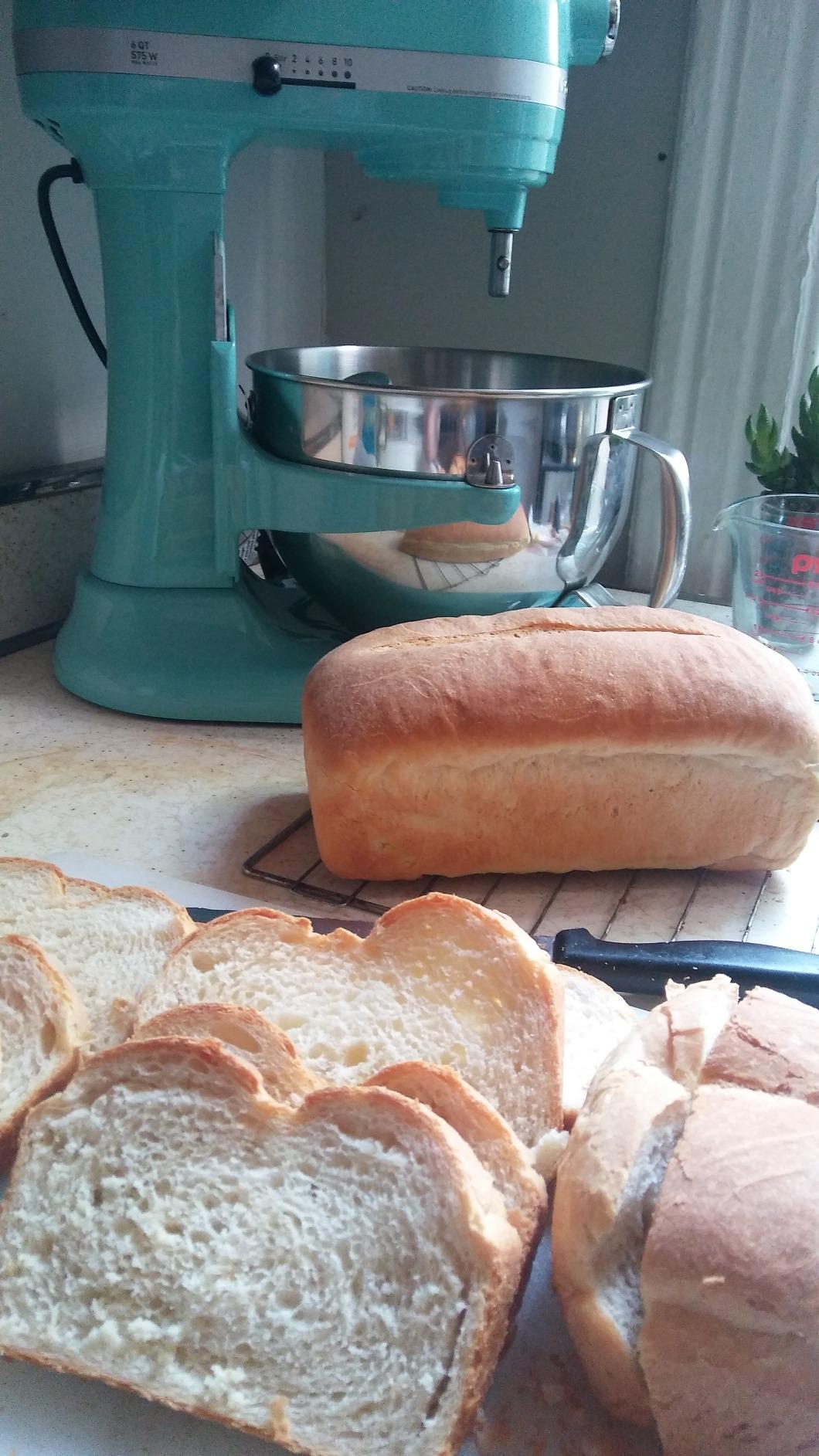 KitchenAid Professional 600 Stand Mixer 6 quart, Bird of Paradise (Renewed) customer photo 2