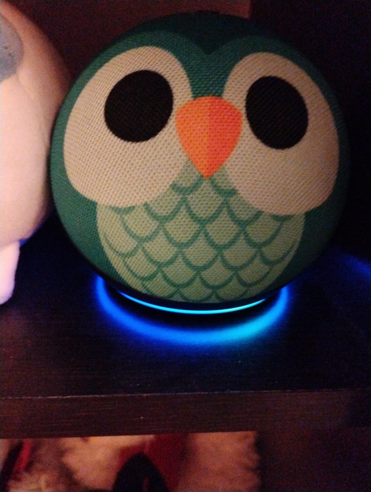 Echo Dot Kids (newest model) - Designed for kids, Designed for Alexa+, parental controls, Includes 1 Year of Amazon Kids+, Owl customer photo 2