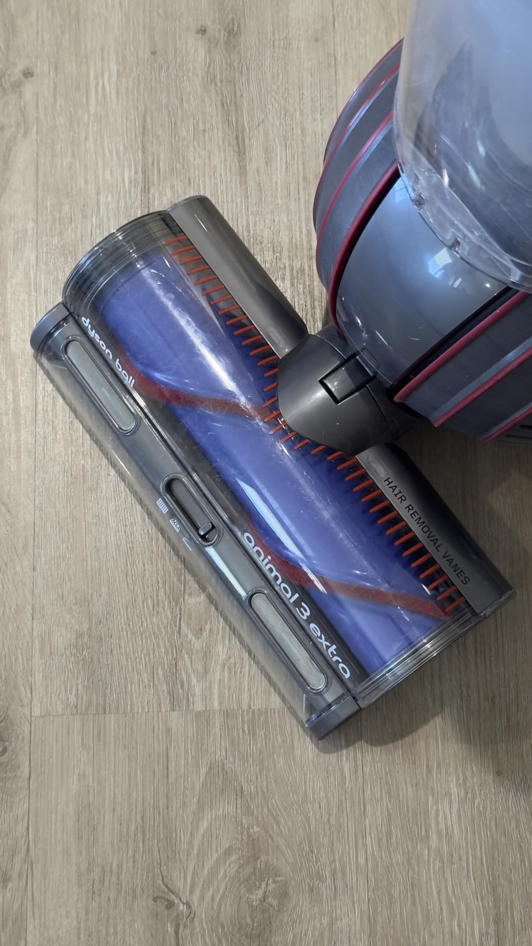 Dyson Ball Animal 3 Extra Upright Vacuum customer photo 1