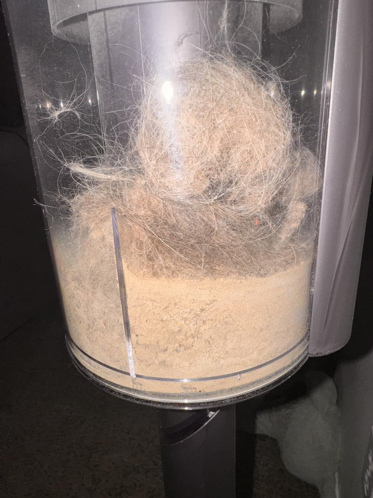 Dyson Gen5outsize Cordless Vacuum, 250AW, 3 Power Modes, Up to 140 Minutes, XL bin, Illumination Reveals dust, HEPA Filtration, All Floor Types customer photo 1