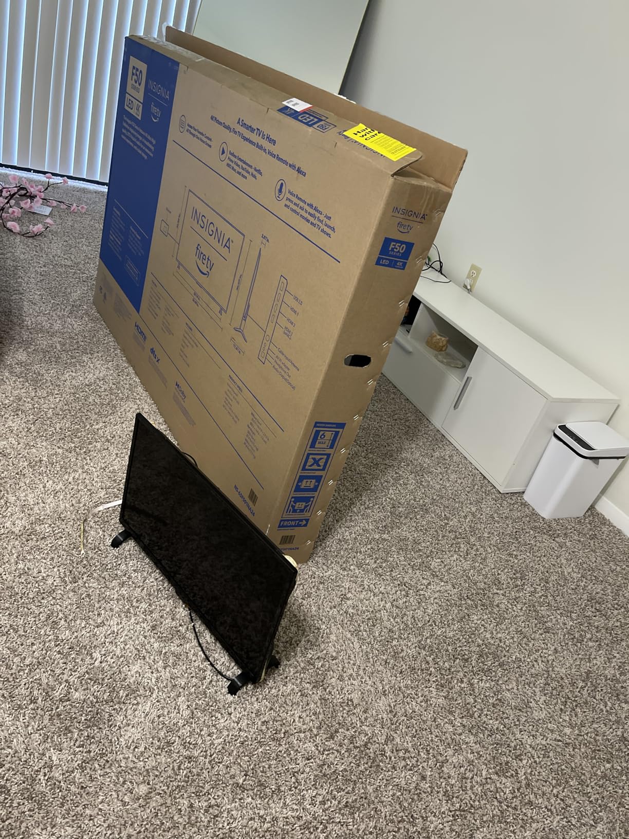 INSIGNIA 65-inch Class F50 Series LED 4K UHD Smart Fire TV with Alexa Voice Remote (NS-65F501NA24) customer photo 2