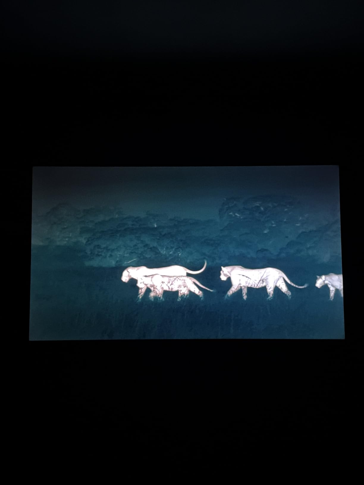 Roku Smart TV - 65-Inch Plus Series, Mini-LED TV - RokuTV with Enhanced Voice Remote - Flat Screen 4K QLED Television with Dolby Vision & Wi-Fi for Streaming customer photo 1