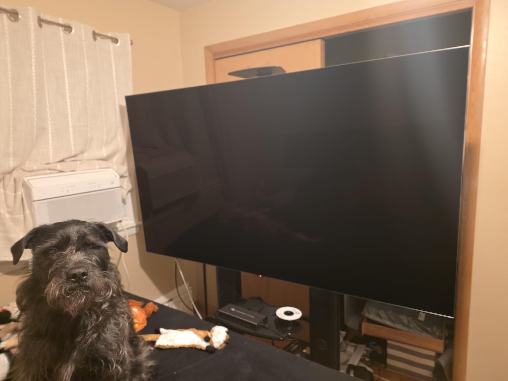 LG 65-Inch Class OLED evo AI Super Upscaling 4K G5 Series Smart TV w/Dolby Atmos, Vision, HDR10, Filmmaker Mode, Wow Orchestra, Alexa Built-in (OLED65G5WUA, 2025) customer photo 2