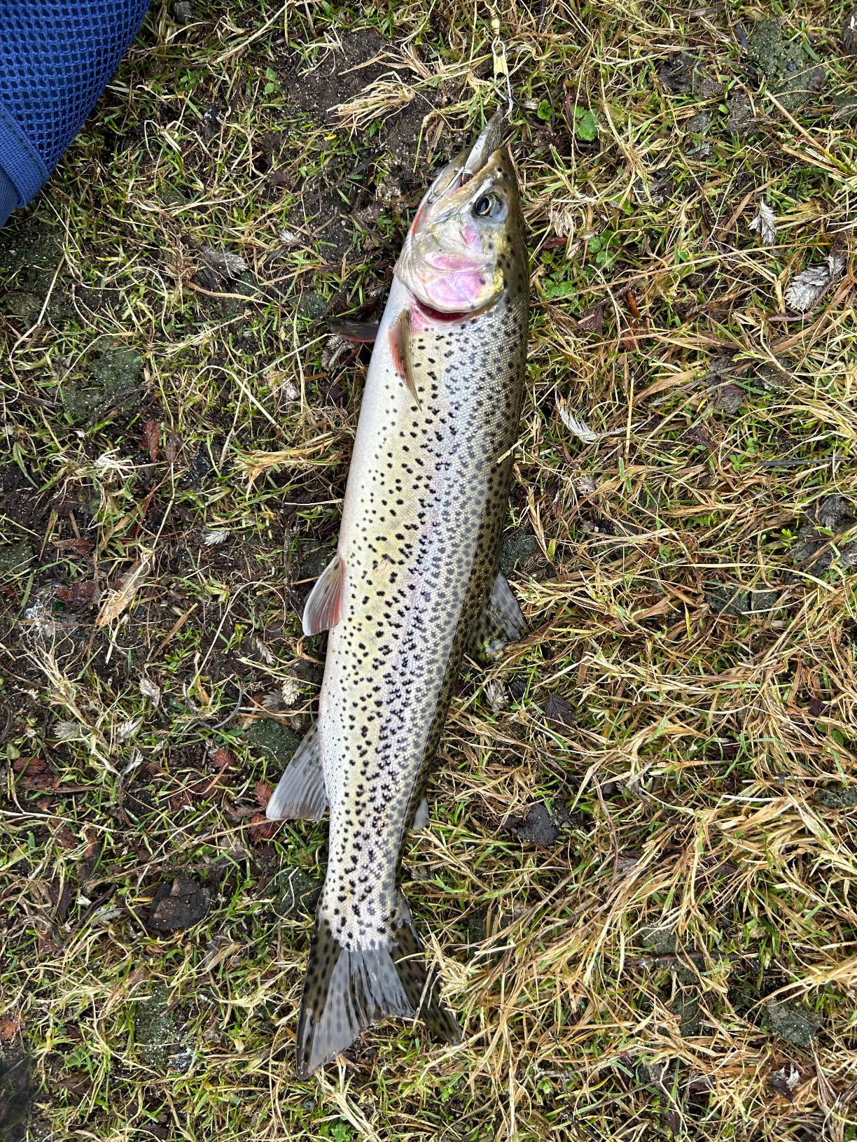 Acme Kastmaster Fishing Lure customer photo 1