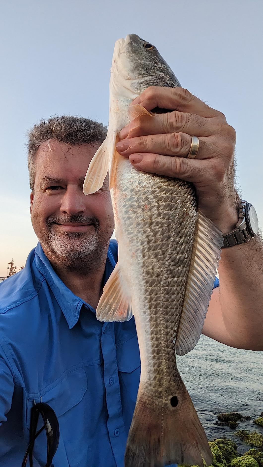 Johnson Silver Minnow Gold Weedless Spoon customer photo 1