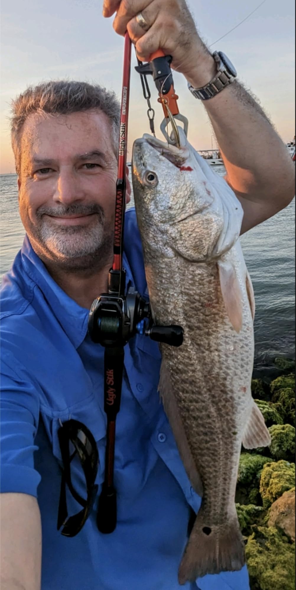 Johnson Silver Minnow Gold Weedless Spoon customer photo 2