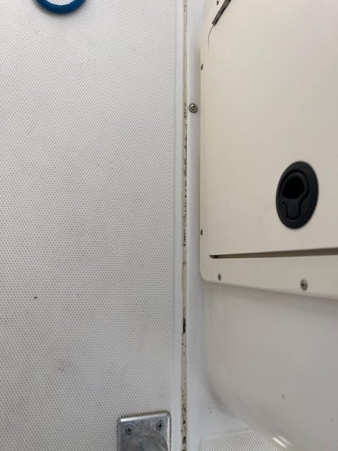 3M Marine Adhesive Sealant Fast Cure 4200 (06560) customer photo 2
