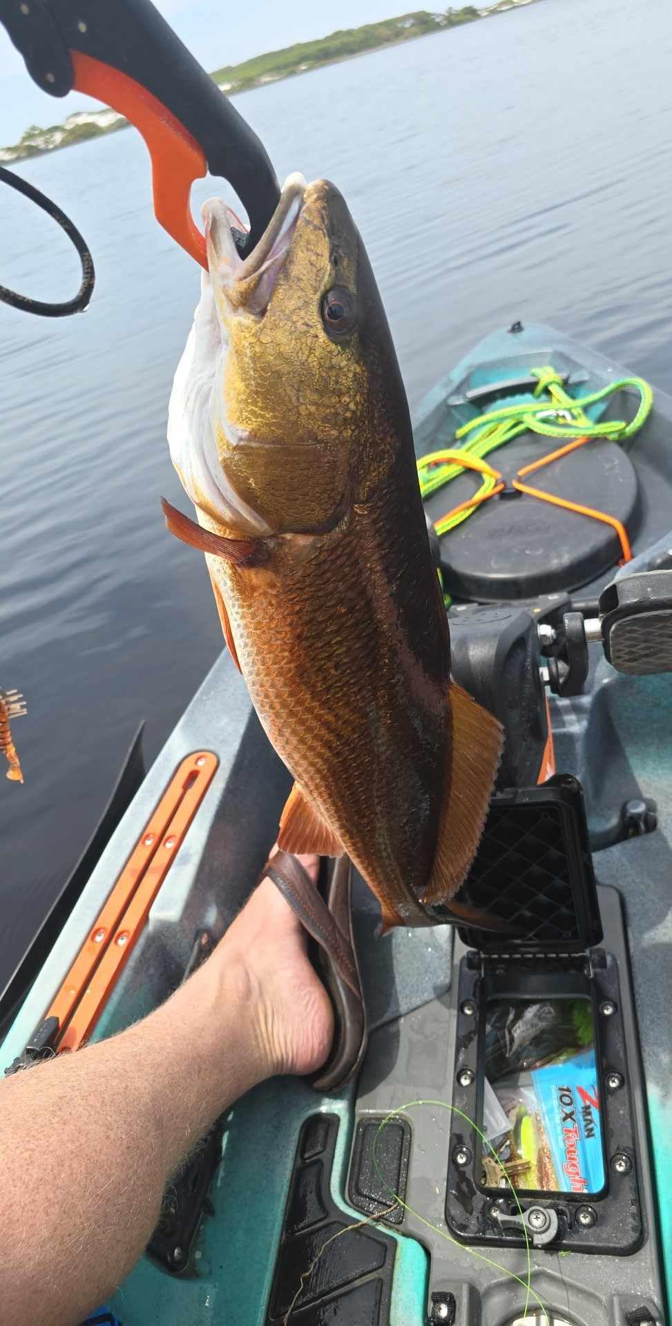 Bomber Paradise Popper X-Treme Popping Cork customer photo 2