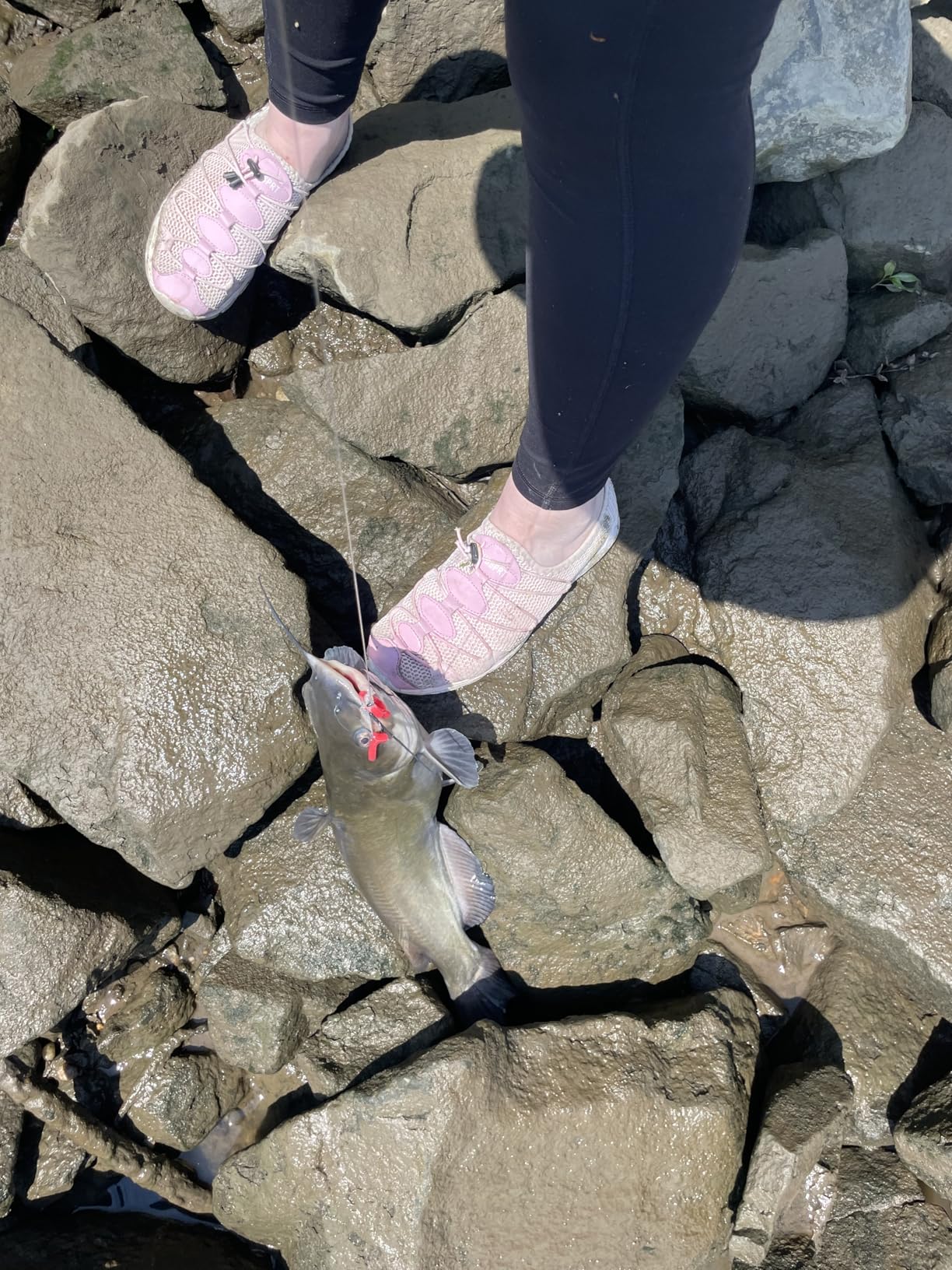 Fishbites 0033 Red Bloodworm Bag O'Worms, Small, 3-Count customer photo 2