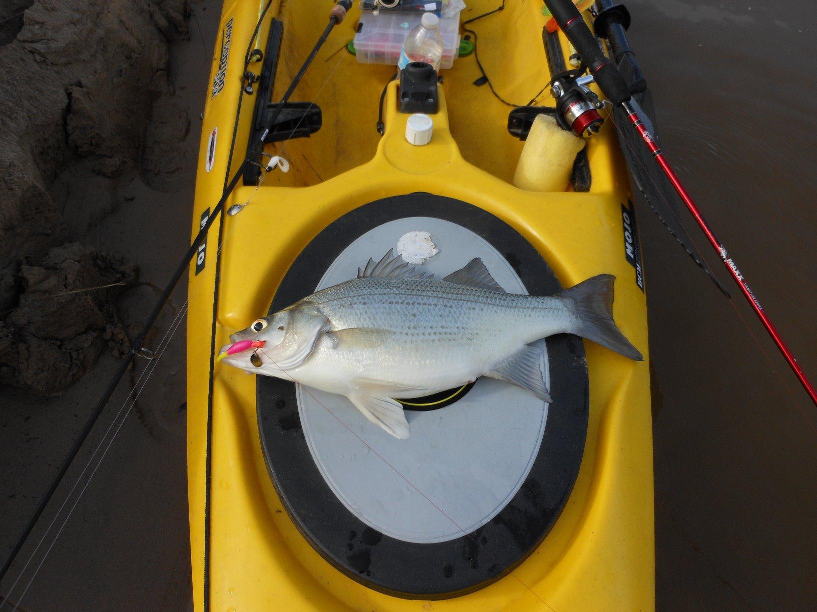 Pro-Cure Crawfish Super Gel, 2 Ounce customer photo 1