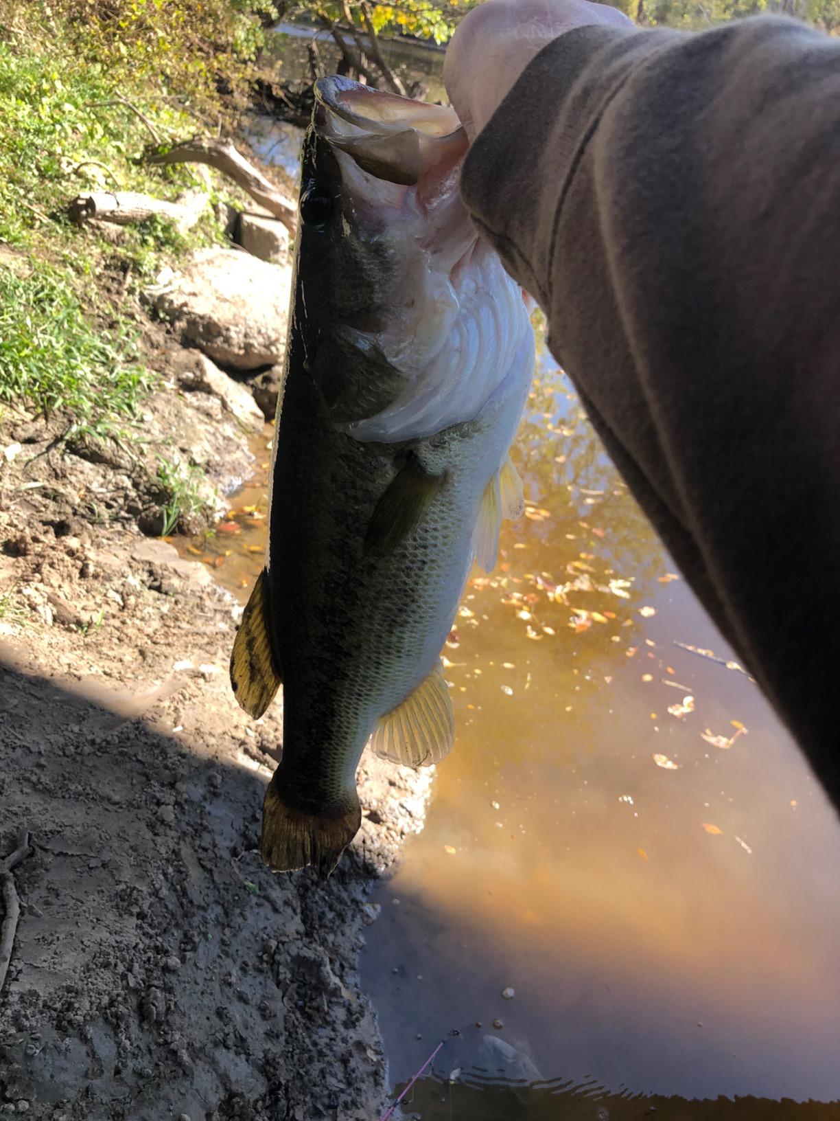 Megastrike Fish Attractant Crawfish customer photo 1