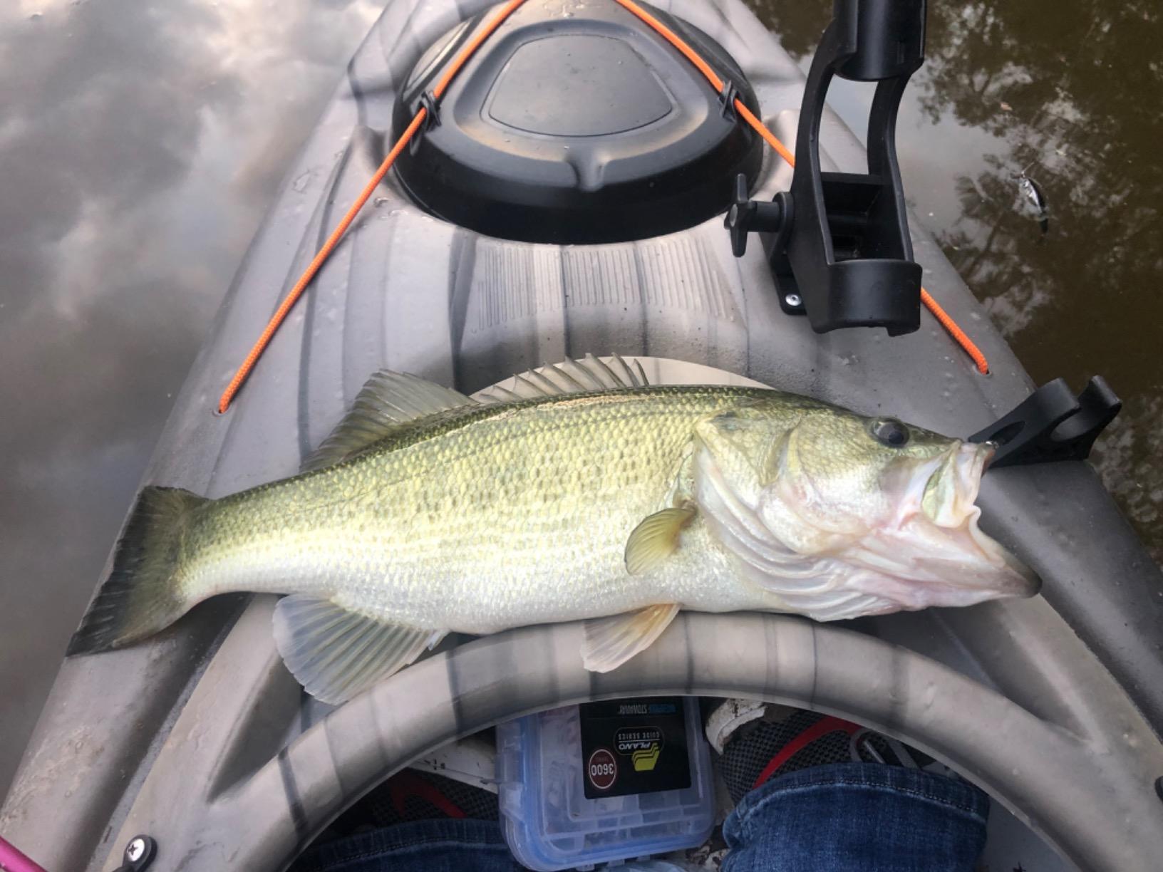 Megastrike Fish Attractant Crawfish customer photo 2