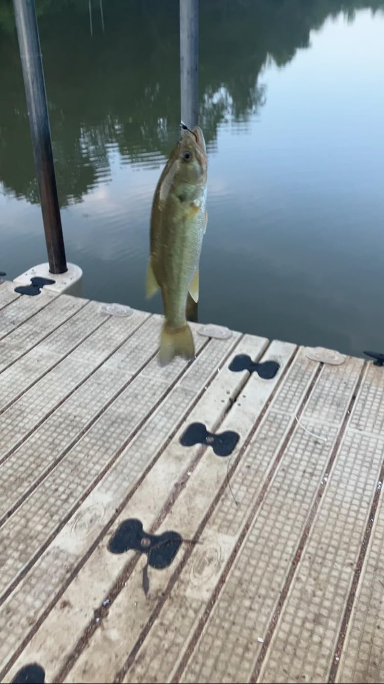 Berkley PowerBait Power Worms 10 inch customer photo 1