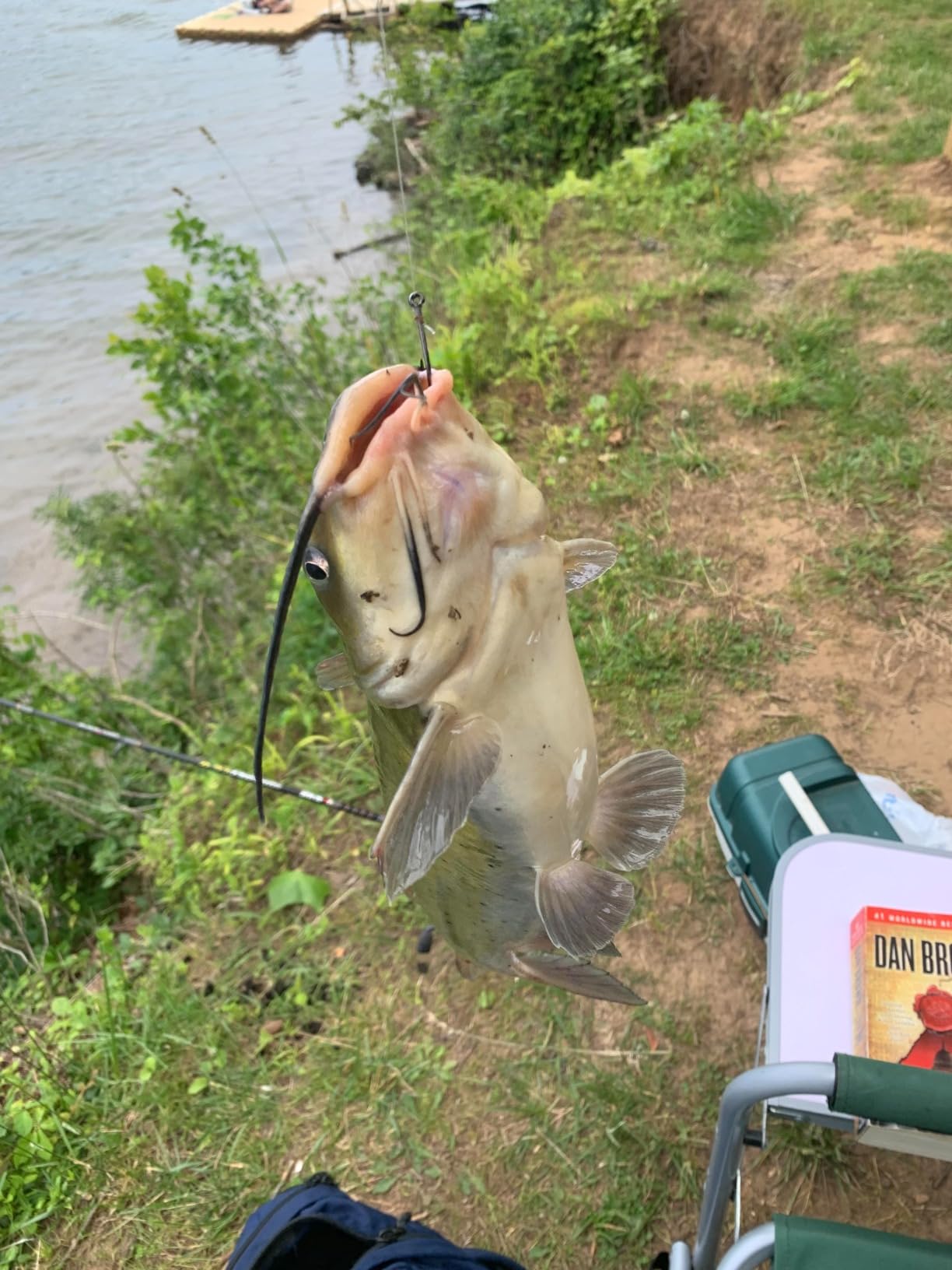 Ugly Stik 7' Catfish Spinning Rod and Reel Combo customer photo 1