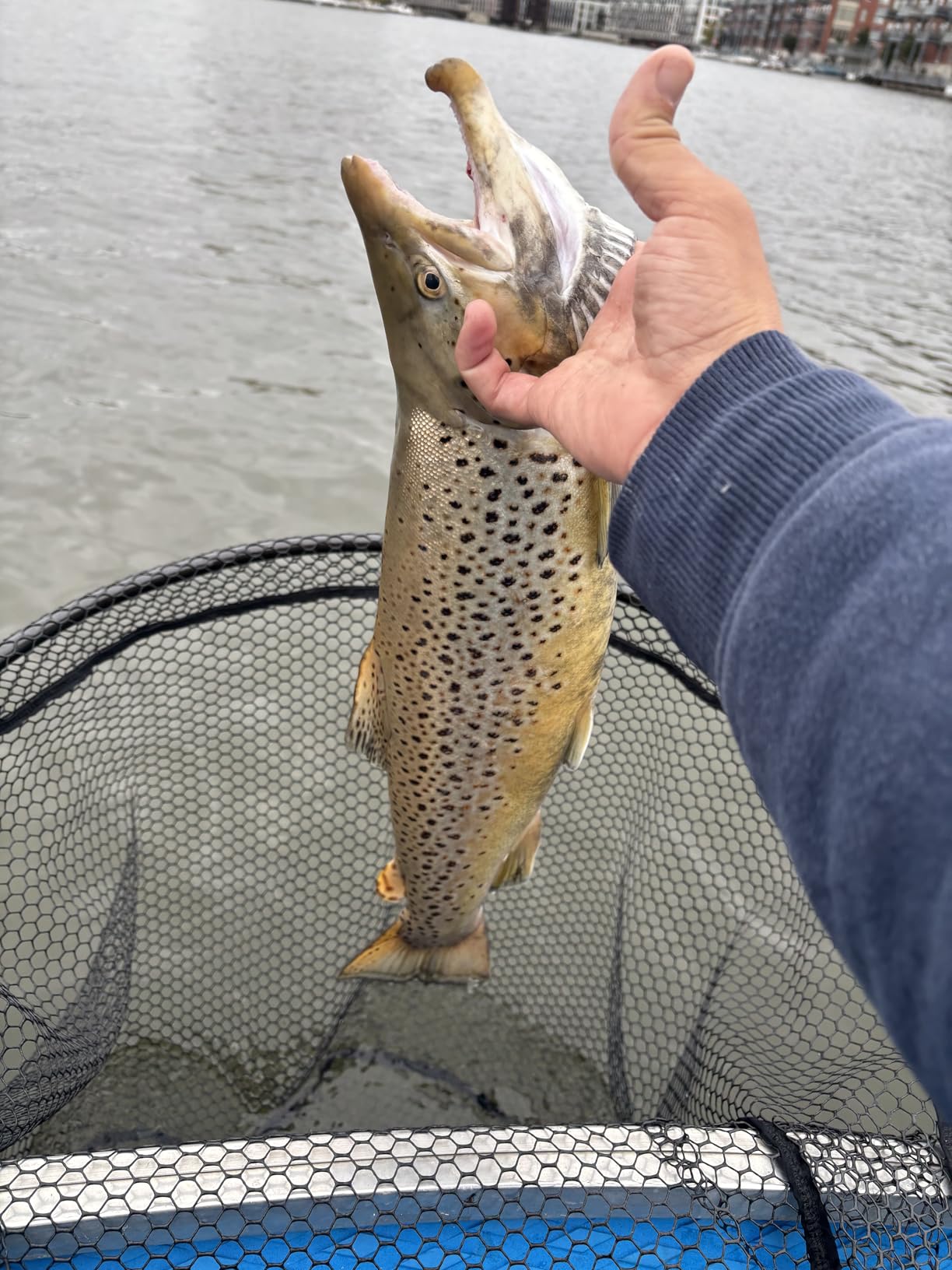 War Eagle Jigging Spoon customer photo 1