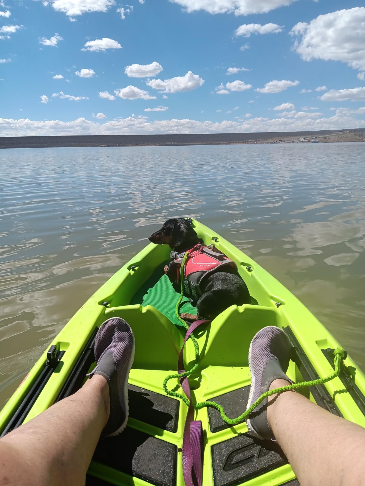OCEANBROAD Kayak Paddle Leash Stretchable Strap customer photo 1