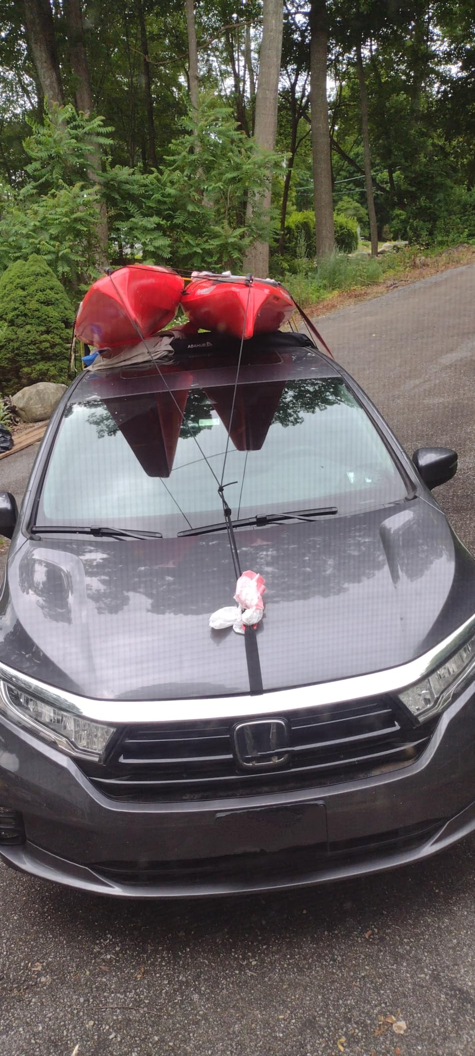 Abahub Soft Roof Rack Pads with 2 Tie Down Straps, 2 Tie Down Ropes, 2 Hood Loops and Storage Bag customer photo 1