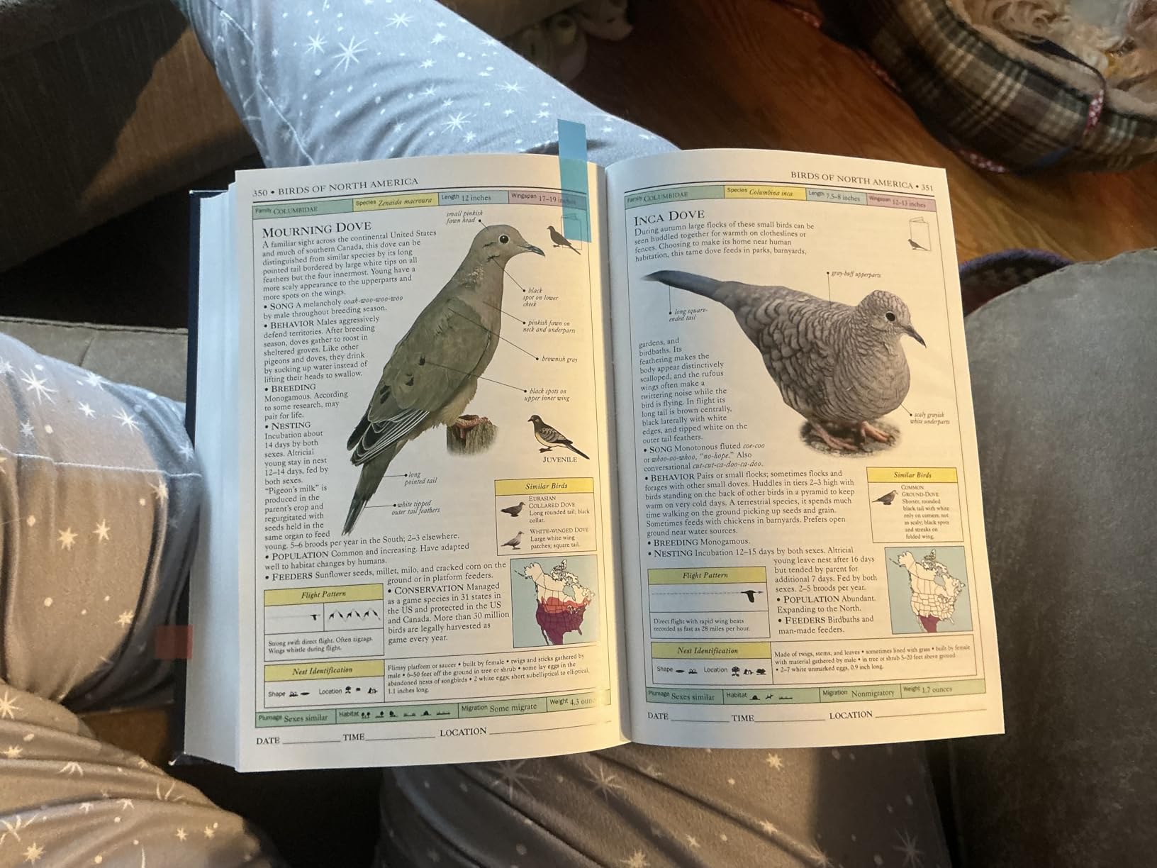 Smithsonian Handbooks: Birds of North America -- Eastern Region (Smithsonian Handbooks) customer photo 1