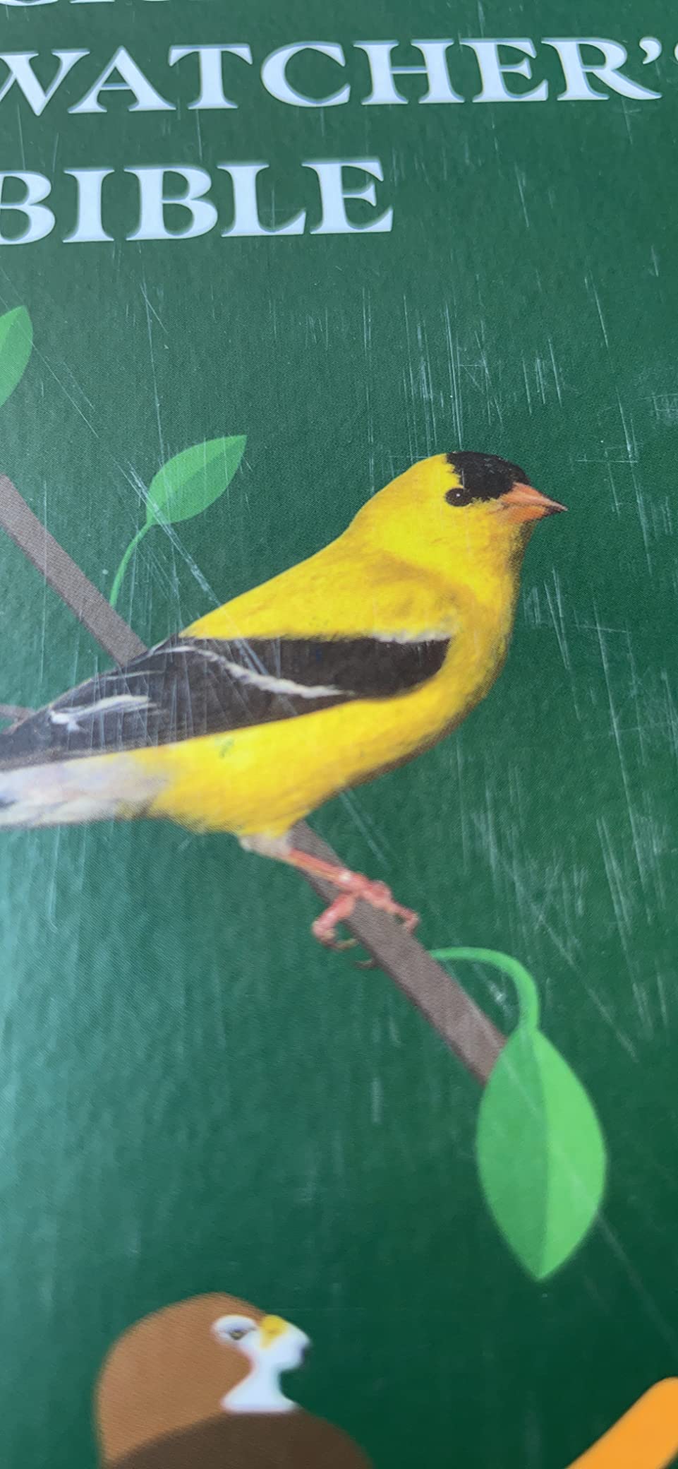The Backyard Birdwatcher's Bible: Birds, Behaviors, Habitats, Identification, Art & Other Home Crafts (The Backyard Naturalist Series) customer photo 1