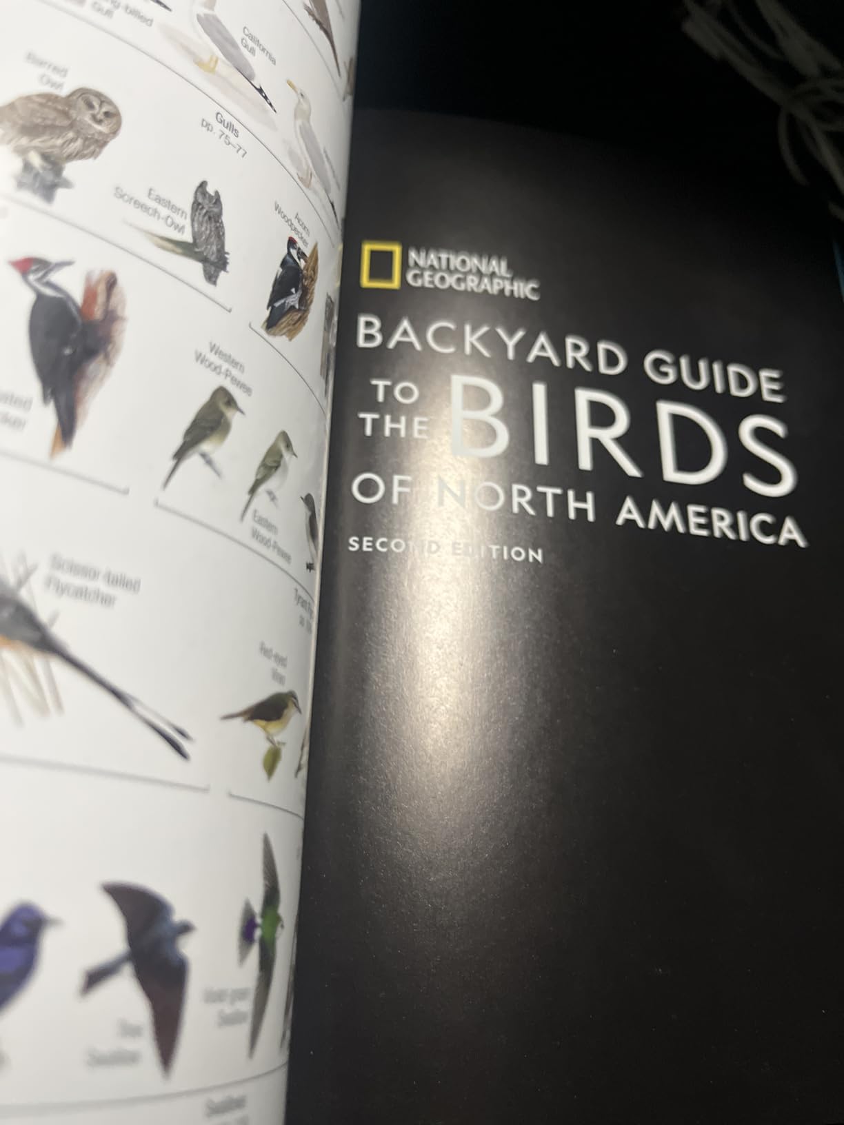 National Geographic Backyard Guide to the Birds of North America, 2nd Edition customer photo 2