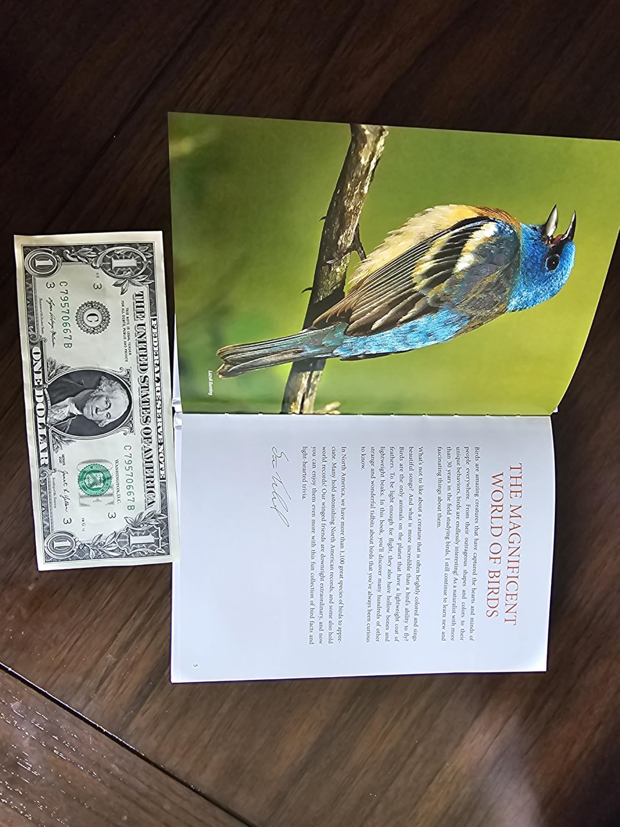 Bird Trivia: Funny, Strange and Incredible Facts about North American Birds customer photo 2