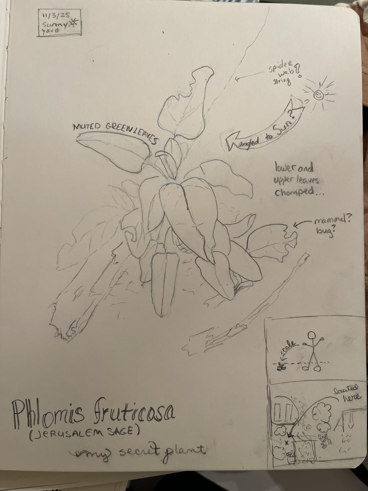 The Laws Sketchbook for Nature Journaling customer photo 1