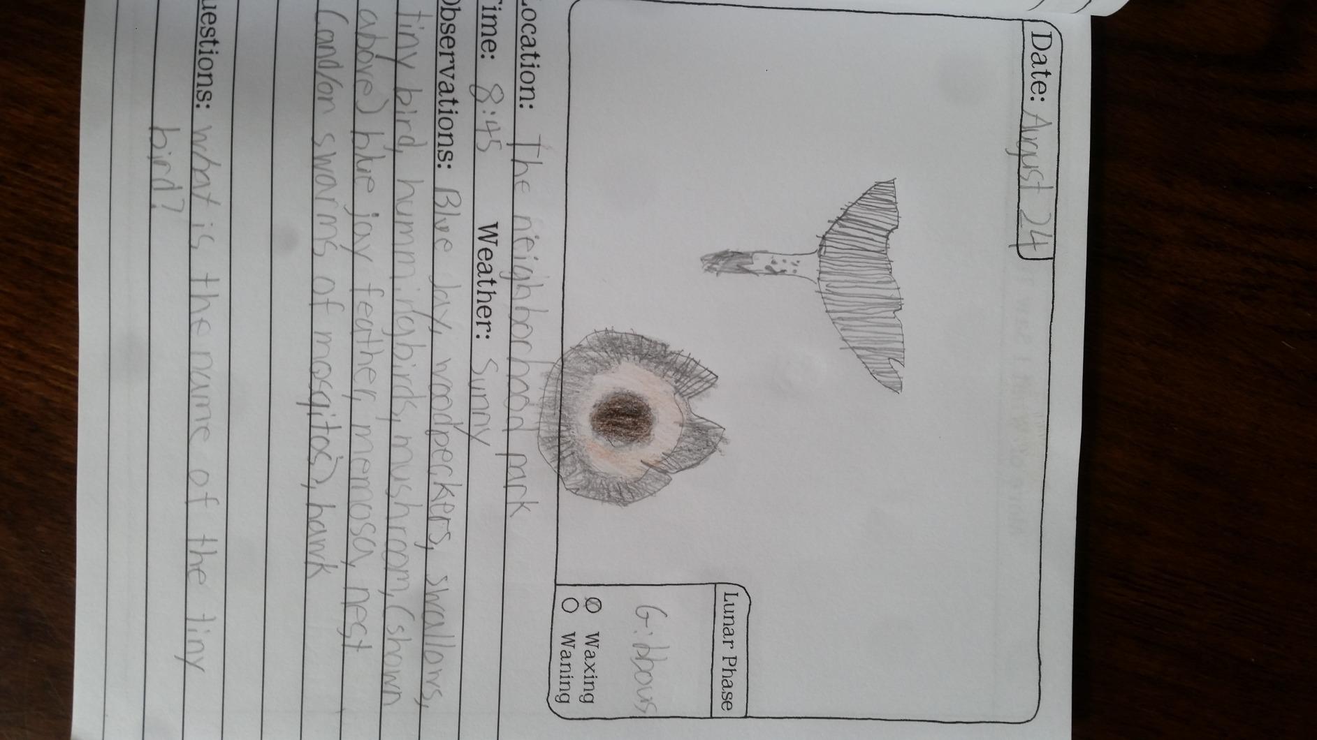 Nature Journal: A Kid's Nature Journal customer photo 2