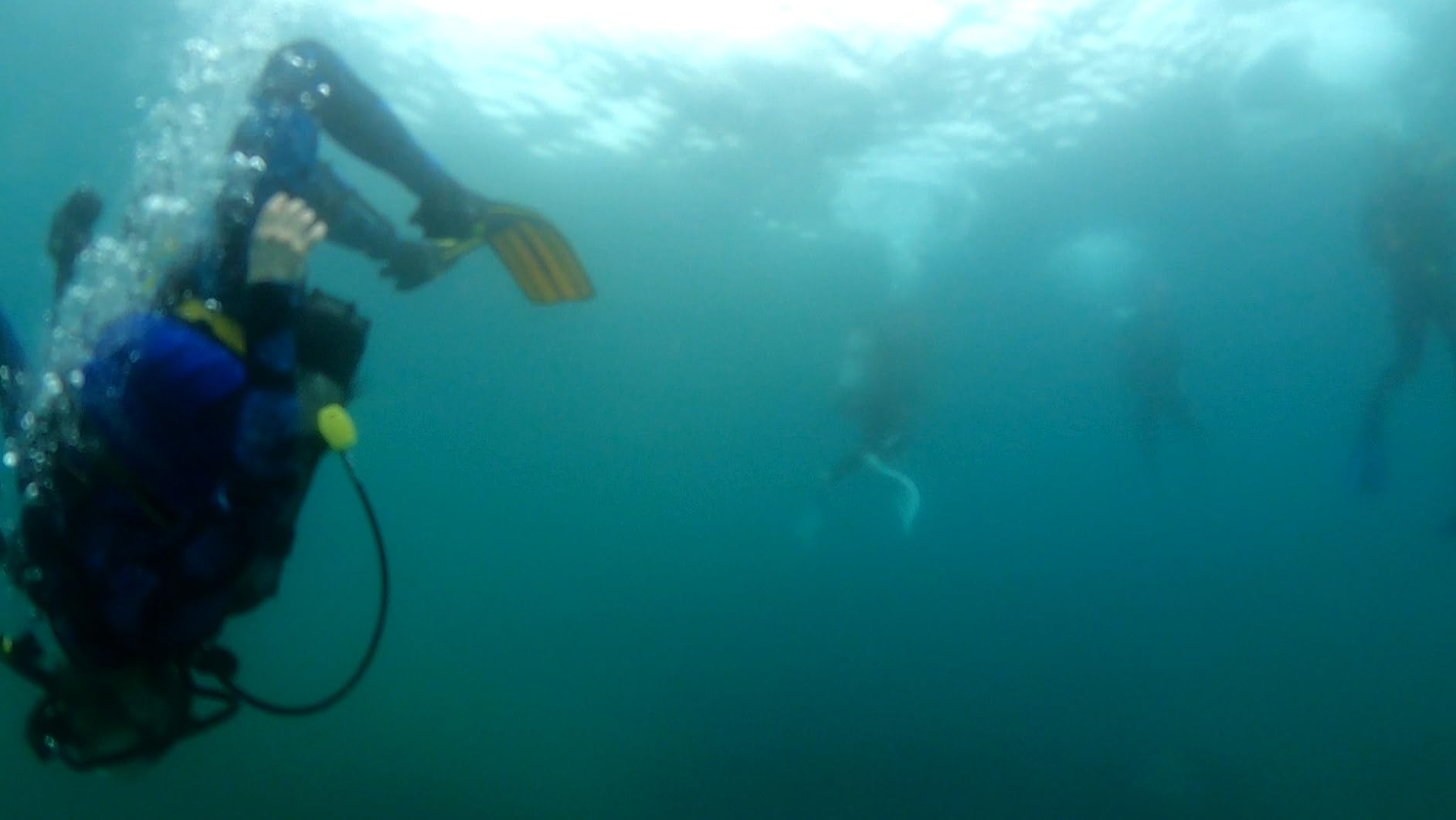 Cressi Lightweight Well-Balanced Open Heel Scuba Diving Fins - Pro Light: Made in Italy customer photo 2