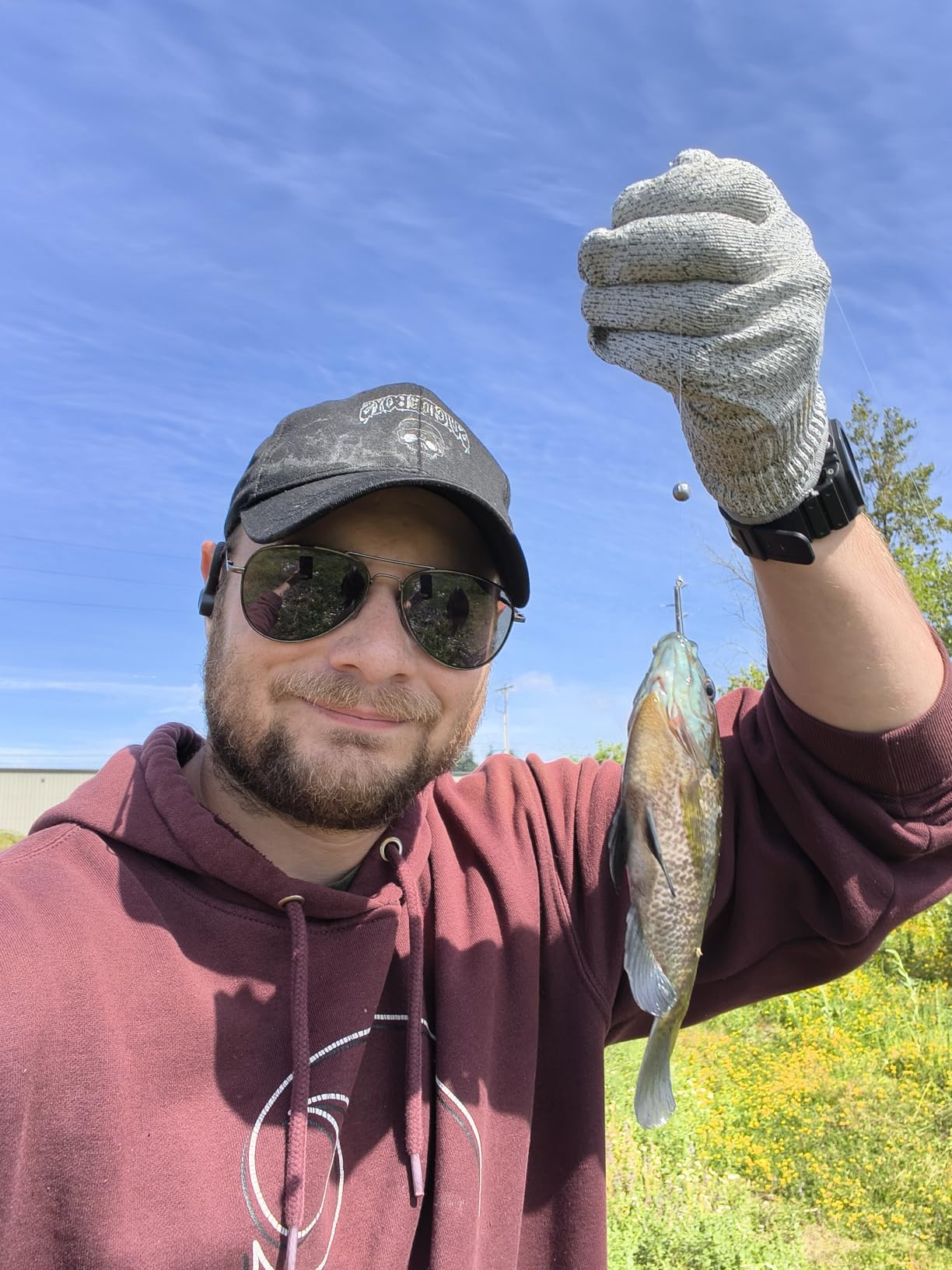 Berkley PowerBait Crappie Nibbles Dough Fishing Bait customer photo 2
