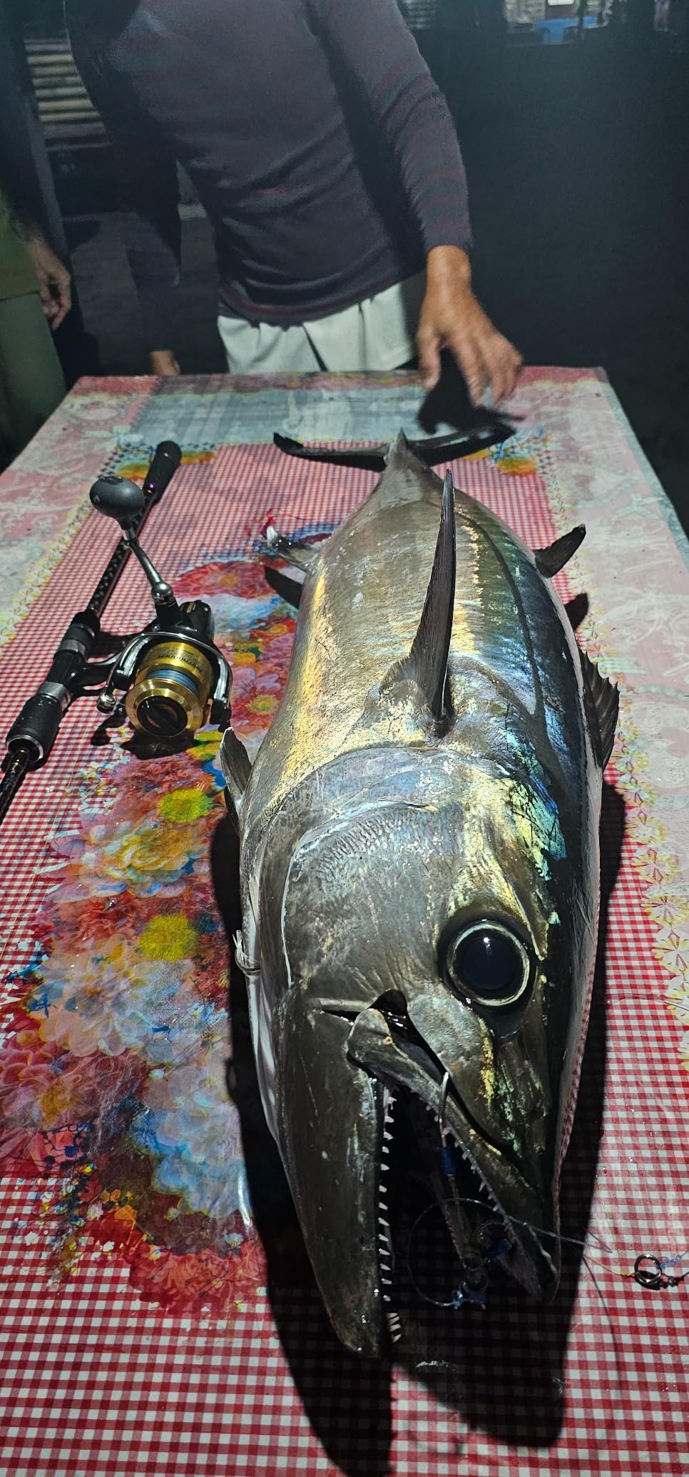 Shimano BAITRUNNER D Saltwater Spinning Reel customer photo 2