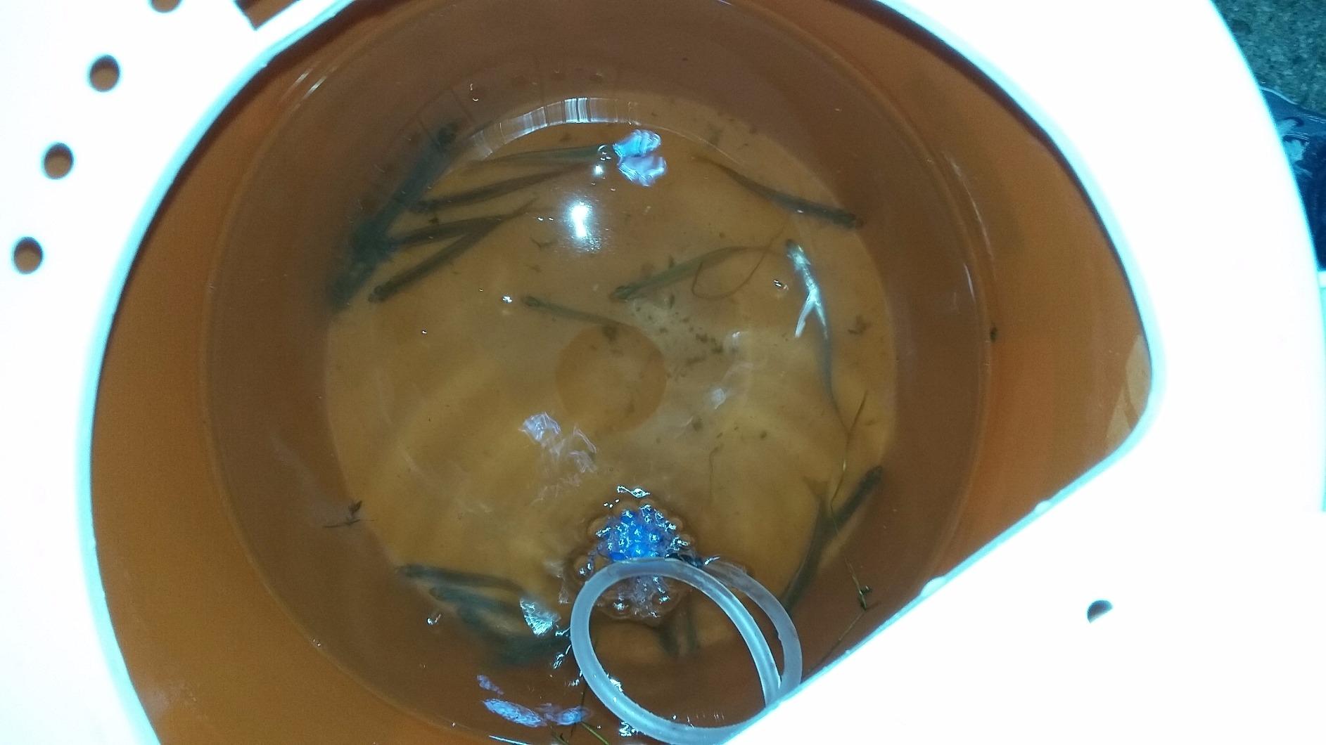 Marine Metal LB-11 Bubbles Top Combo Bait Storage customer photo 2