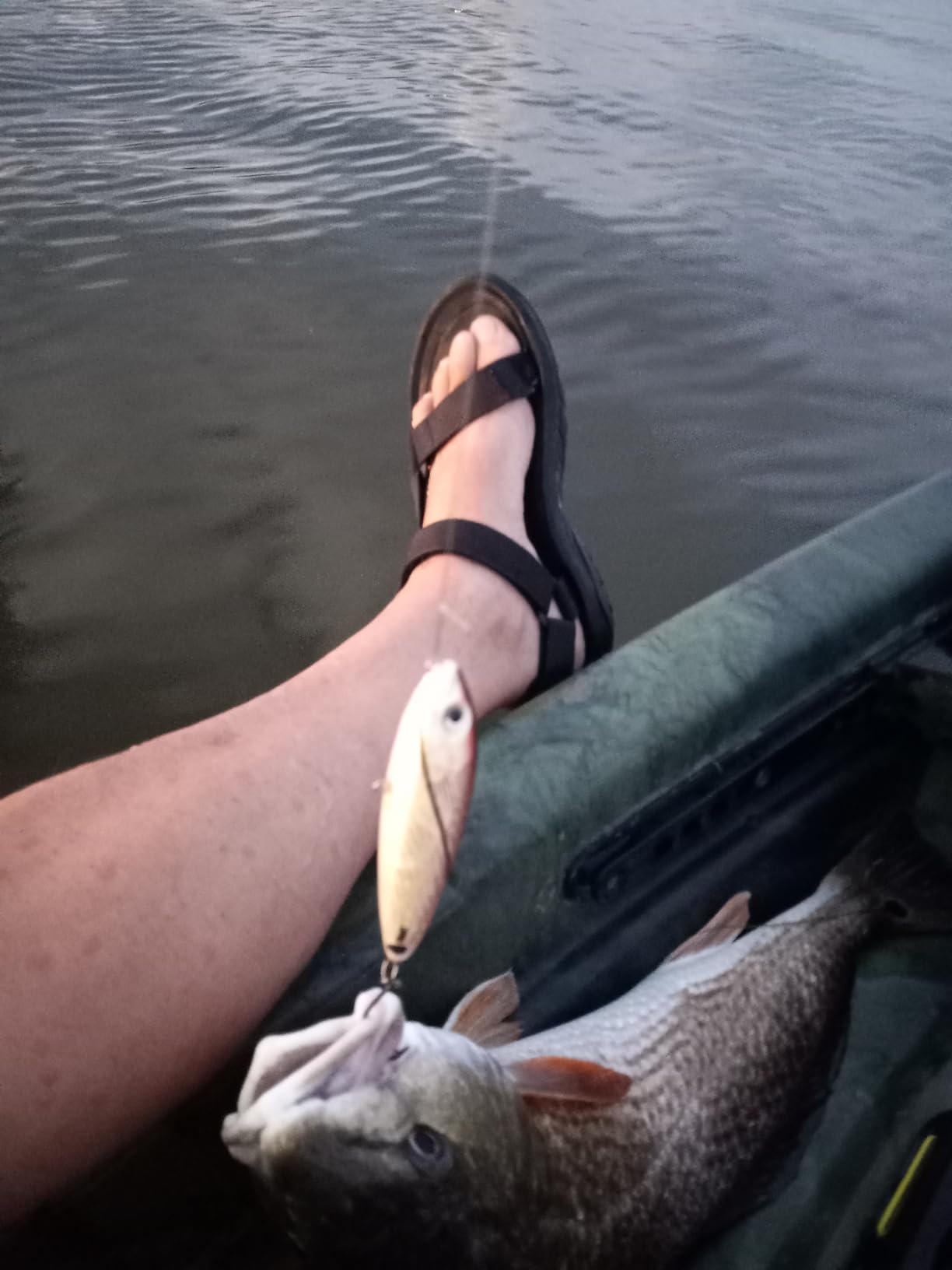 Rapala Rapala Saltwater Skitter Walk 11 Fishing Lure 4 375 Inch customer photo 1