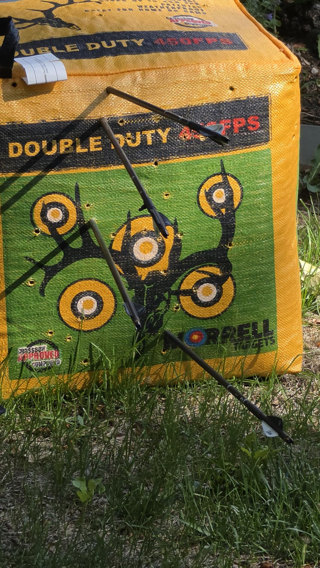 Morrell Double Duty 450 FPS Cube Field Point Archery Bag Target with Traditional Bullseyes, Nine-Ball, Dartboard Game, and Deer Vitals, Yellow customer photo 1