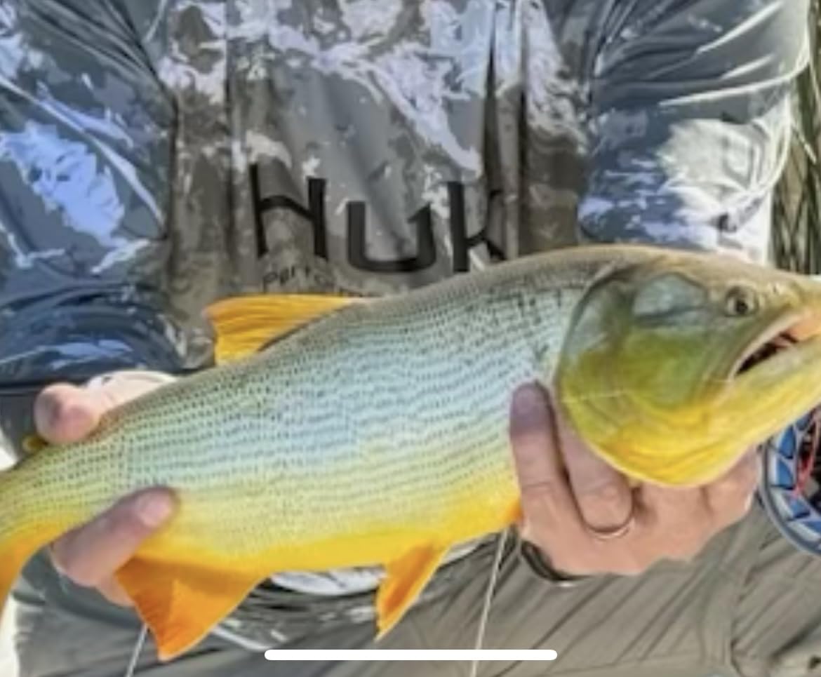 American Fishing Wire Surfstrand Bare 1x7 Stainless Steel Leader Wire - Fishing Leader Line for Saltwater, 20lb Test - 325lb Test in Bright, Camo in 30ft, 300ft, 600ft and 1,000ft Lengths customer photo 1