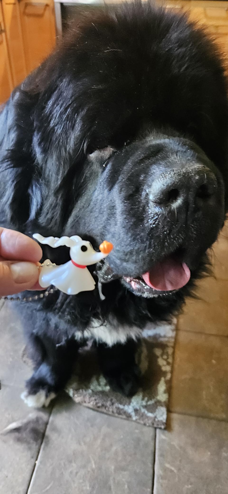 The Travel Bug (Geocaching Trackable) customer photo 1