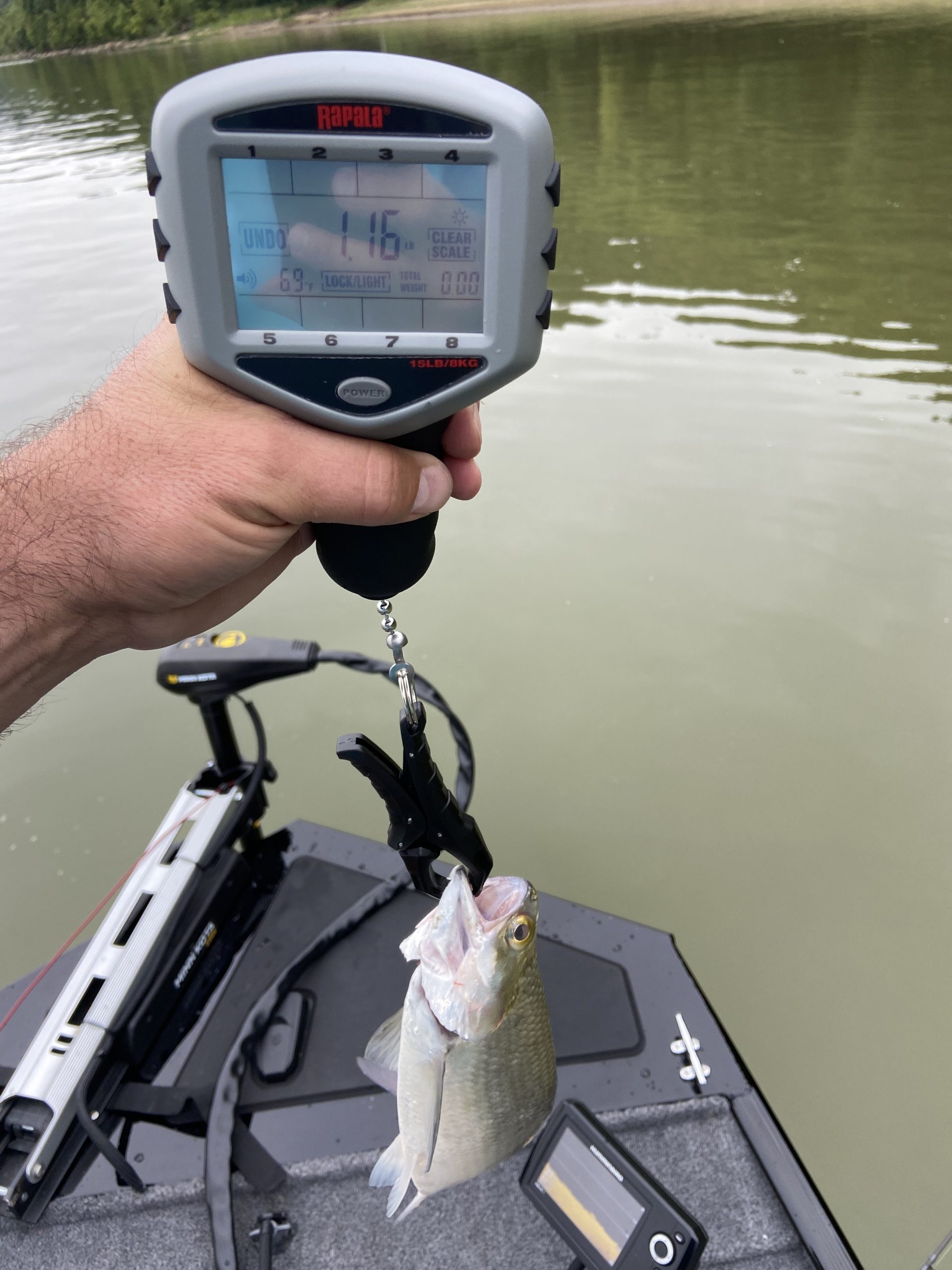 Rapala Touch Screen Digital Fish Scale, 15 lb Tournament Scale customer photo 2