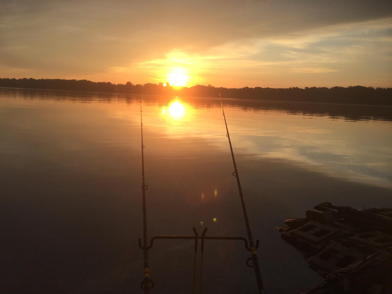 RITE-HITE Bank Fishing Dual-Rod Holder - Holds Two Fishing Rods and Reels at The Optimum Angle. Great for Bank Fishing on Lakes and Streams customer photo 1