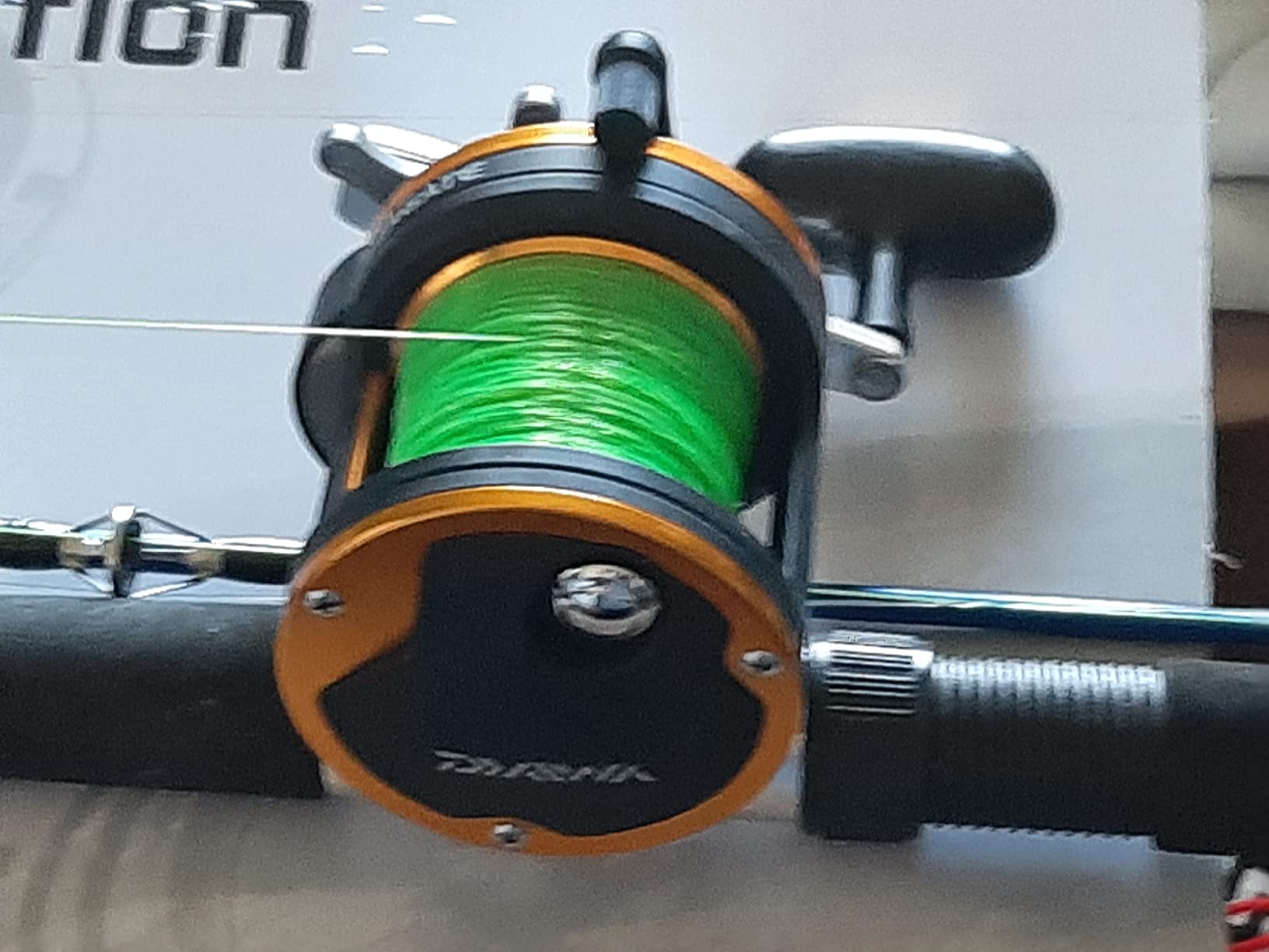 Daiwa Seagate Conventional Reel customer photo 2