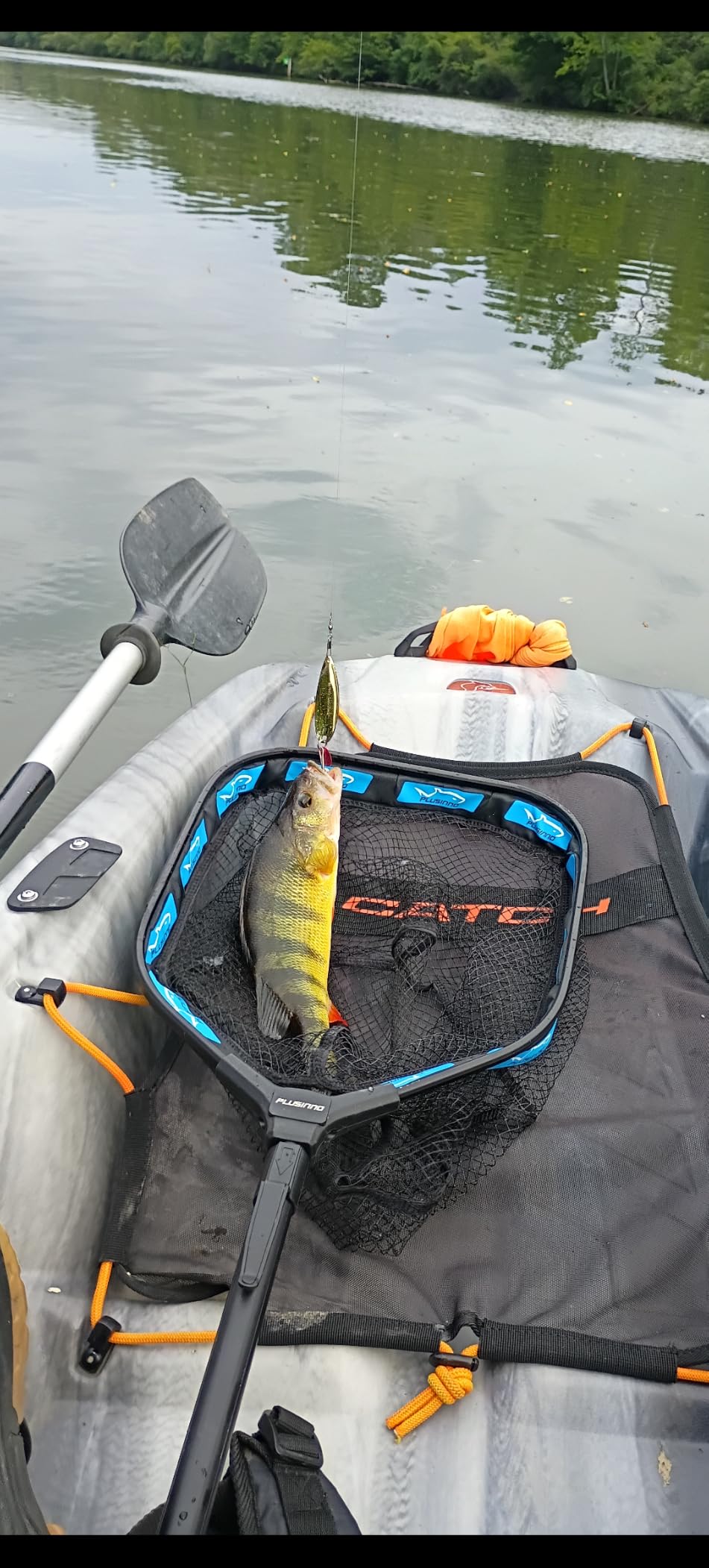 Berkley Johnson Sprite Fishing Hard Bait, Gold - Redfish Kit, 2 1/2in - 3/4 oz customer photo 1