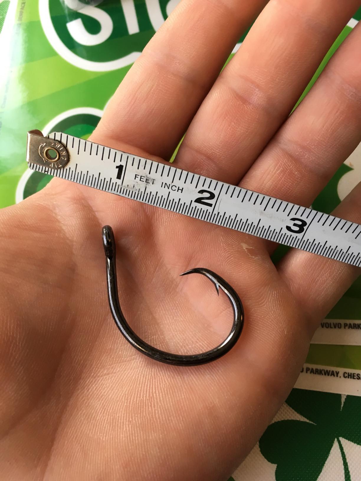 Mustad Demon Perfect Inline Circle Hook 39954NP - 1X Fine Fishing Hooks, Up Eye, Ideal for Saltwater and Freshwater Species, Original Patented Circle Hook Design, Inline Hooks customer photo 1