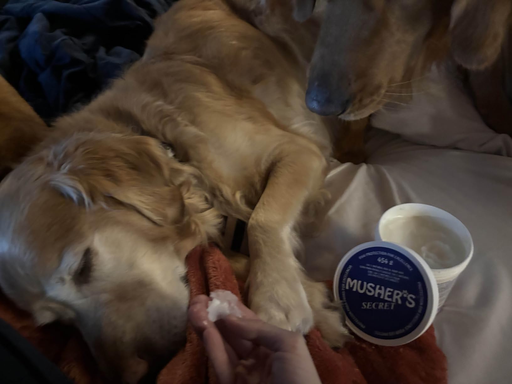 Musher's Secret Dog Paw Balm, Hot Pavement, Ice & Salt Protection, 454g | All-Natural Paw Balm, Lick-Safe & Non-Toxic Dog Paw Moisturizer for Dry, Cracked Paws, Dog Paw Wax with Vitamin E customer photo 1