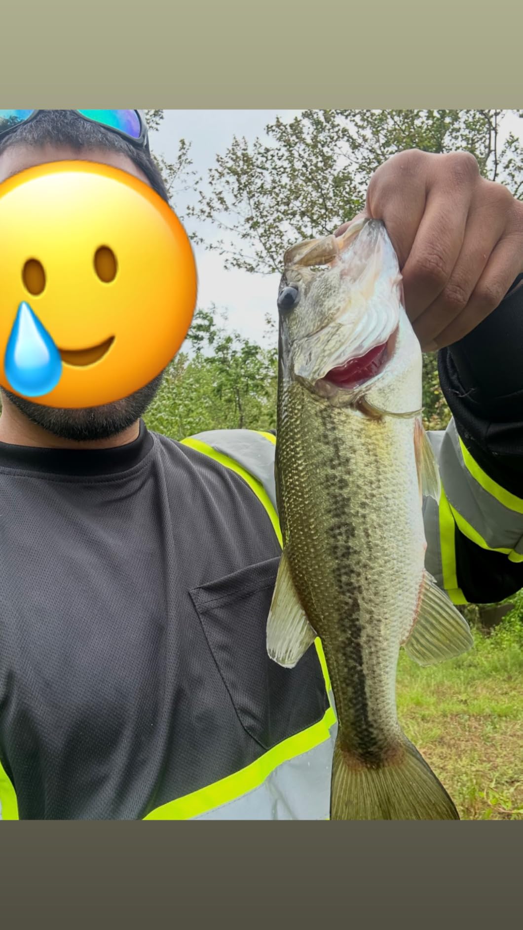 Strike King Mr. Crappie Joker Bait customer photo 1