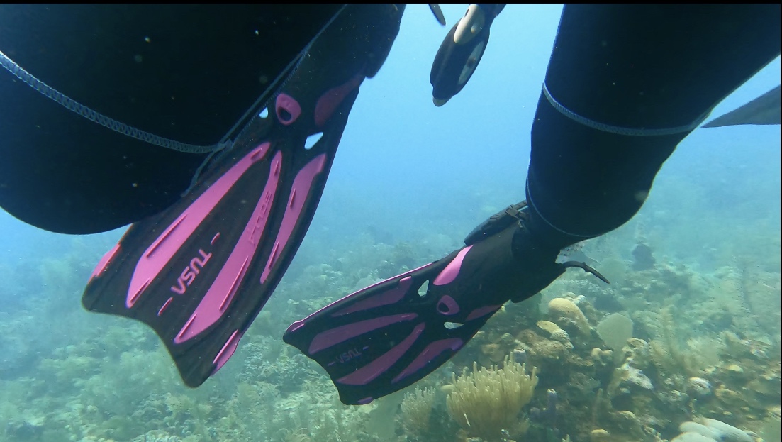 TUSA SF-22 Solla Open Heel Scuba Diving Fins customer photo 2